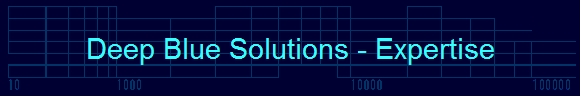 Deep Blue Solutions - Expertise
